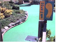 Miniature Golf