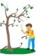 Tree clipart