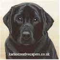 Labrador portrait